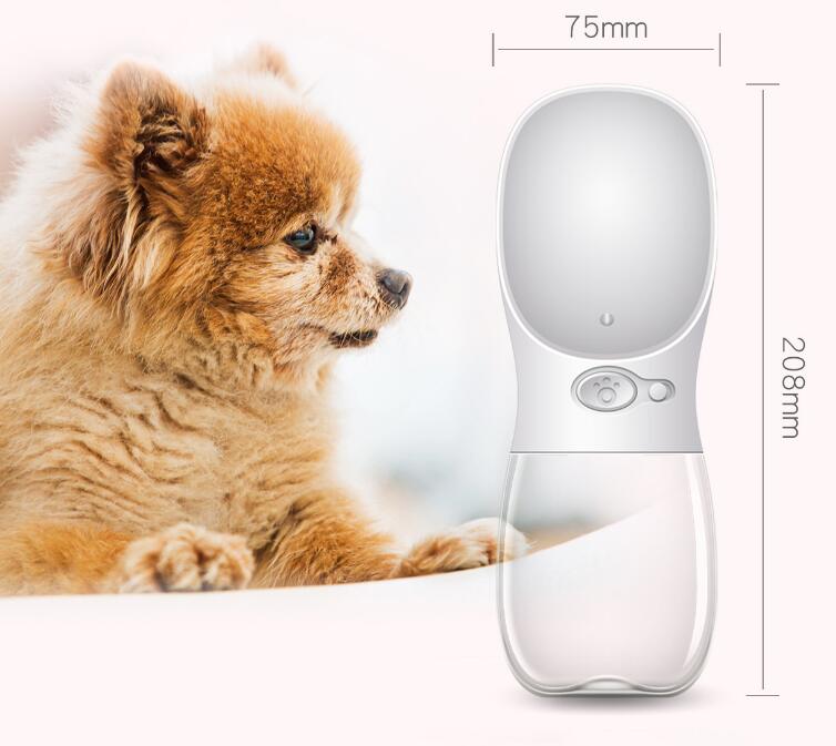 Outdoor Pet Water Bottle — One-Touch, BPA-Free, 350ml & 550ml