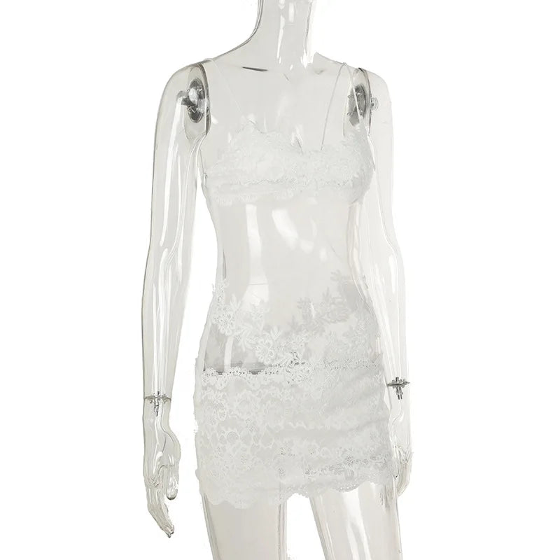 Floral Lace Mesh Mini Dress — Sheer Embroidery Bodycon